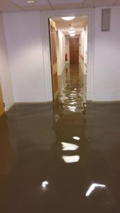 After the floods - basement at Edgecombe Court
