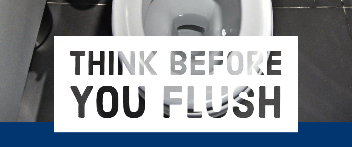Think Before You Flush South Lakes Housing