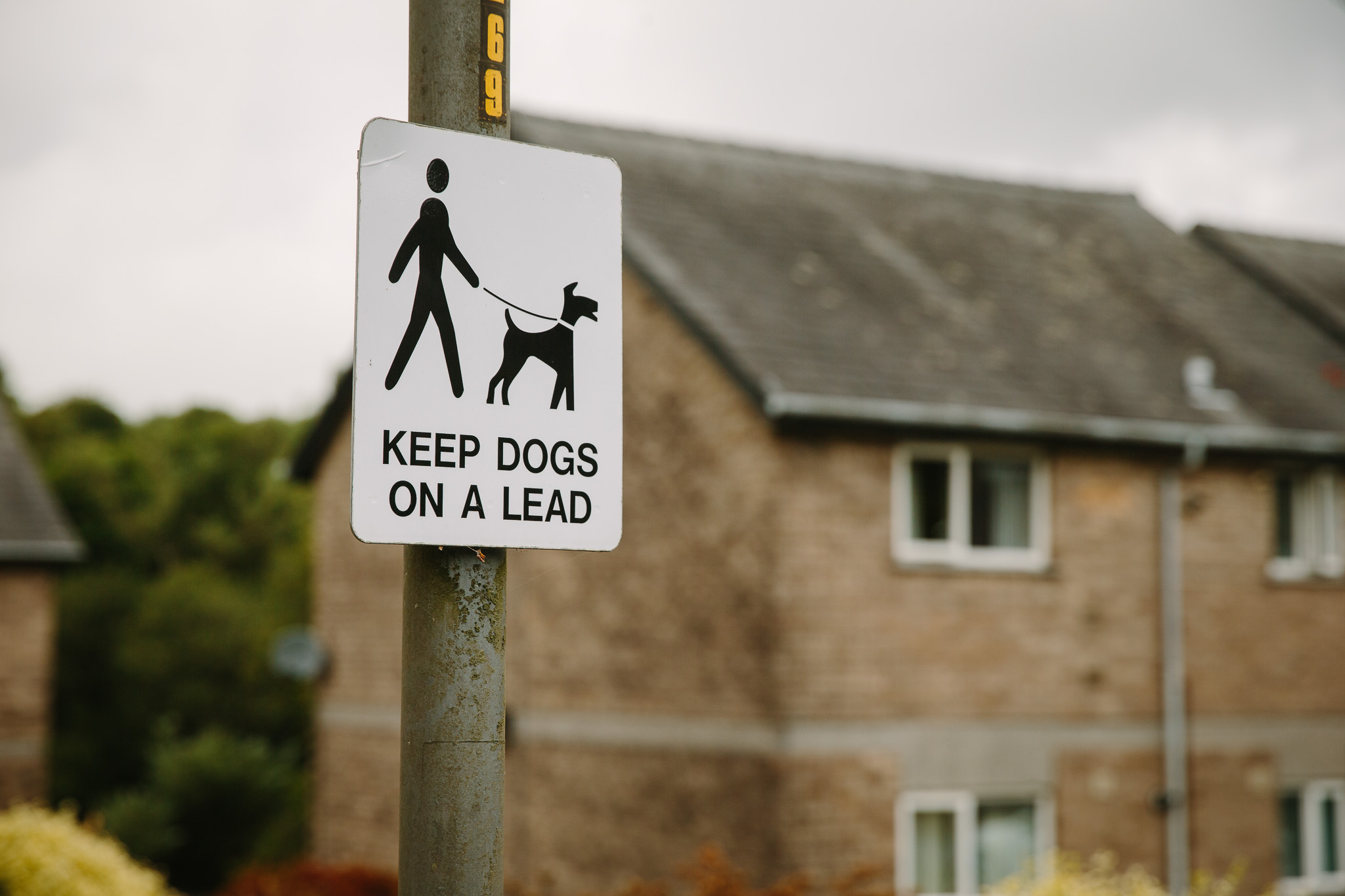 Keep dogs on a lead Picture by Steven Barber
