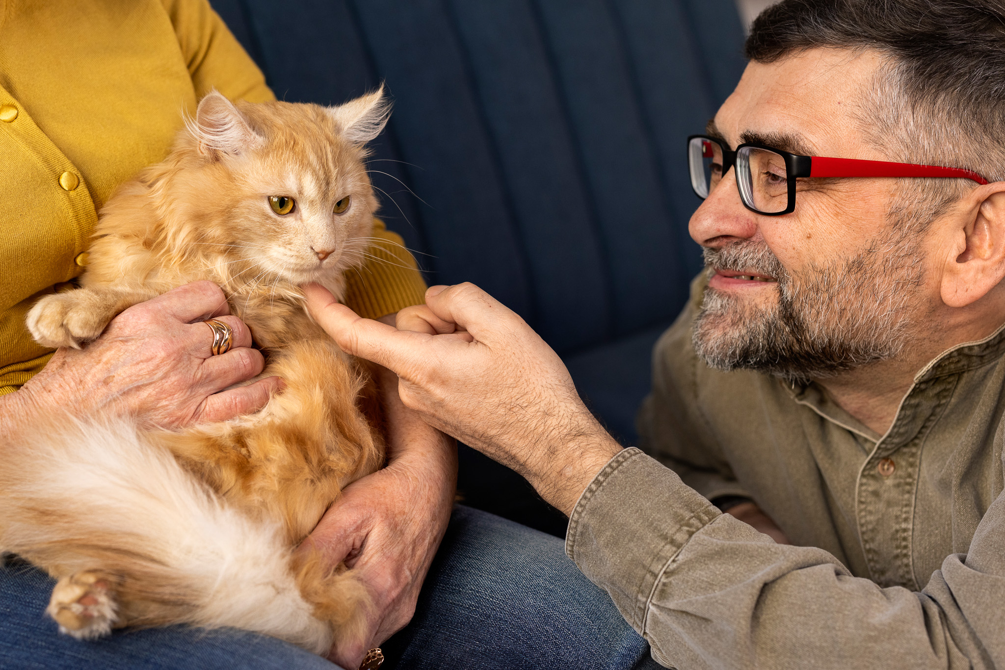 people-with-cat-pet - image from freepic