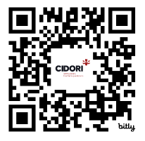 Cidori Construction Skills (Level 1) Course - 7th September